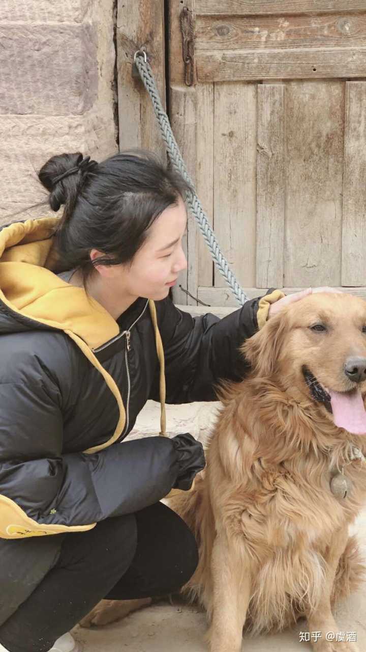 养田园犬的网红博主吴霜去世 留下爱犬与无尽惋惜