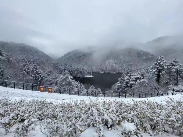 杭州多家小店用造雪机引流 营造浪漫雪景吸引顾客